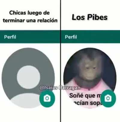 Facts