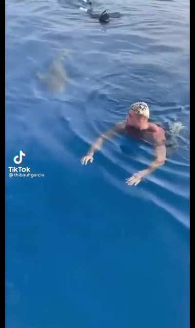 Jaws 5