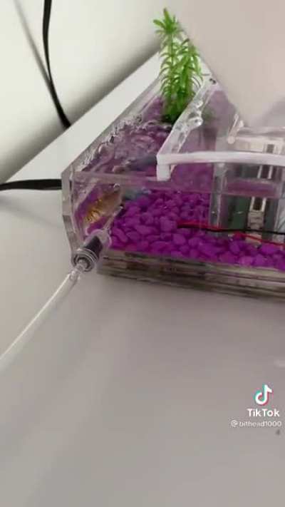 SNES Fish Tank