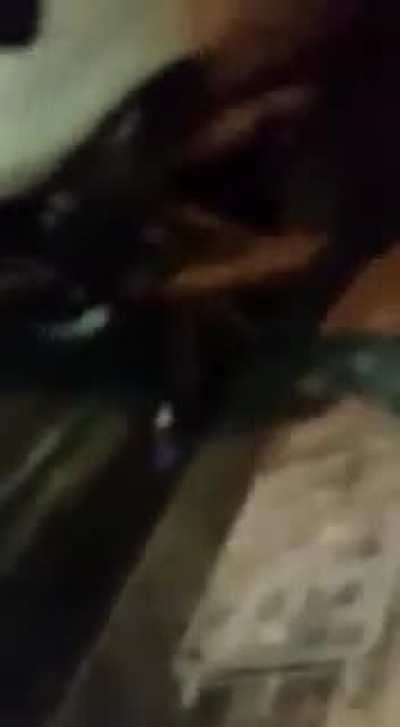 Clubout Scuffle
