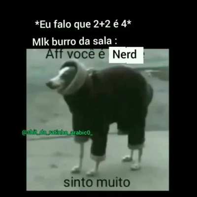 Sinto muito.