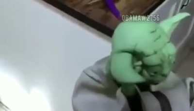Yoda