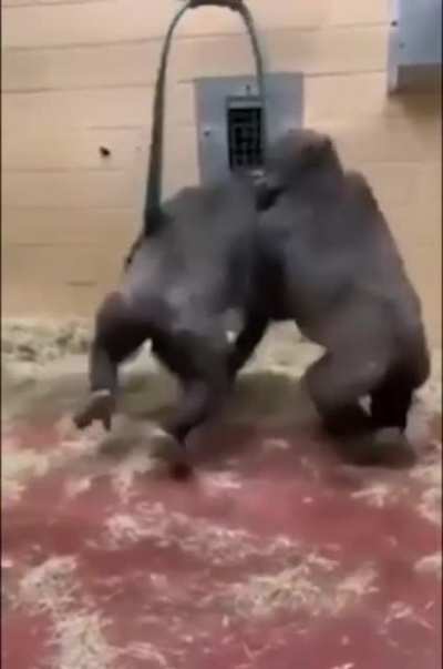 They&rsquo;re having a good time
