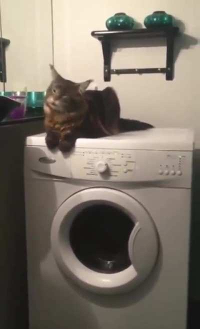 She's enjoying the vibration