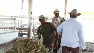 Meet the Farmers and Workers Running for Cuba&rsquo;s National Assembly