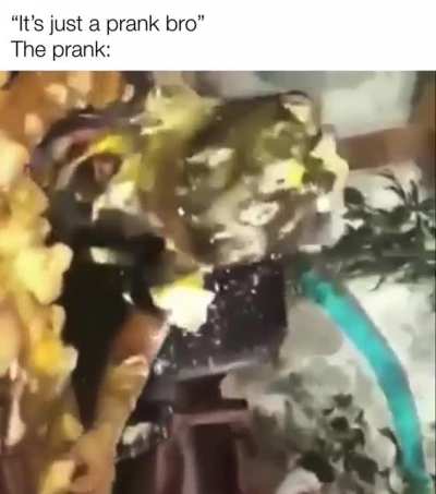 &ldquo;Its just a prank bro&rdquo;