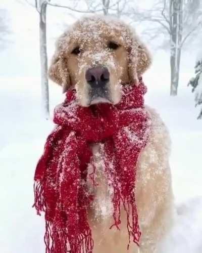 Winter is coming!