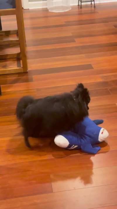 Pillow Pet love child