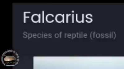 No way
