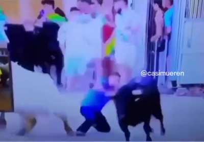 Bulls on parade