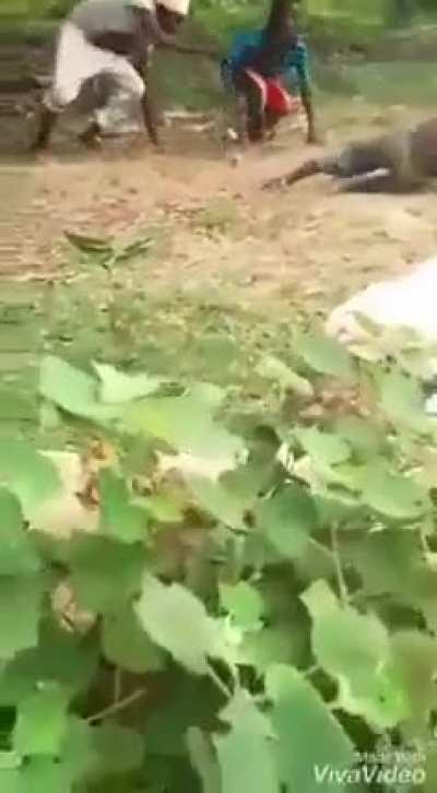 That wasn&rsquo;t very smart