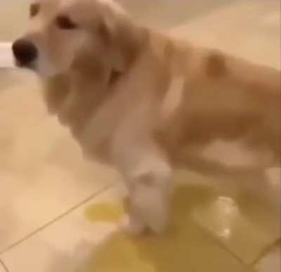 Ta vazando