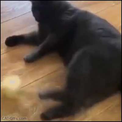 I am not your mama!