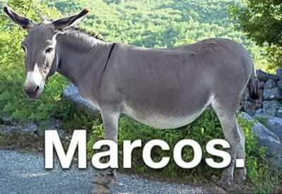 Marcos