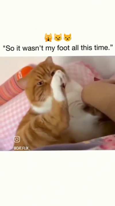 So it hasn&rsquo;t been my foot this whole time?