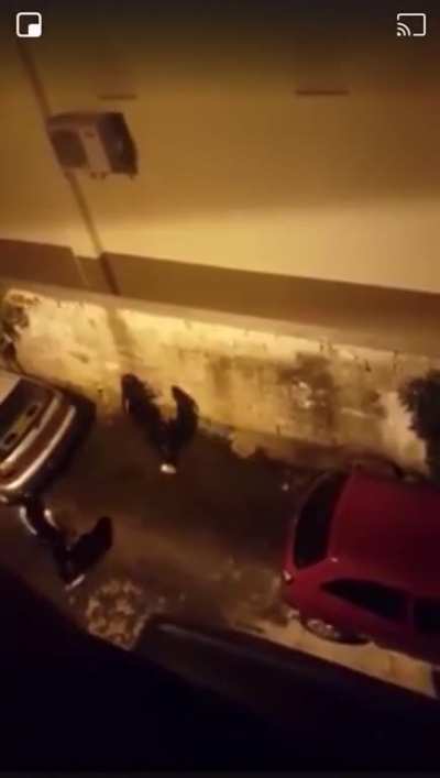 Nu va pisați l&acirc;ngă mașina mea