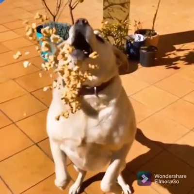 to catch the popcorn