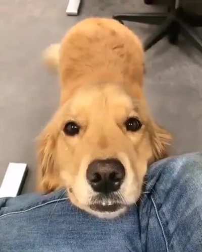 The eye winks too.