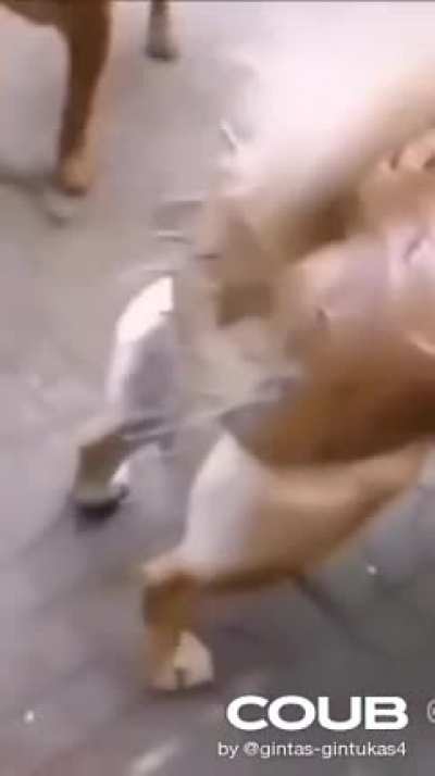 Защита