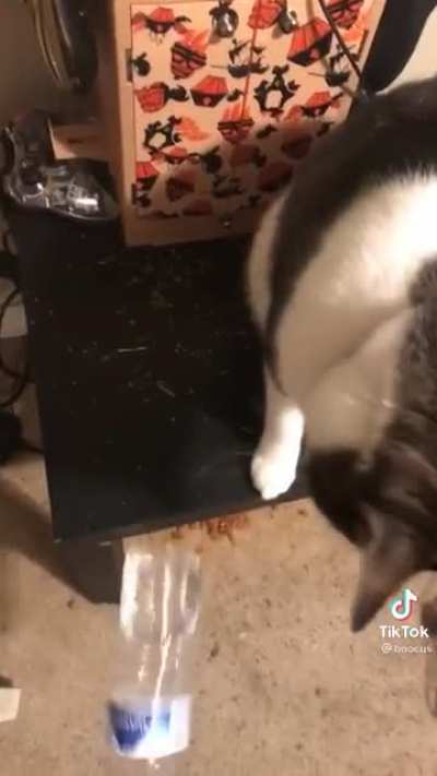 You want some water?