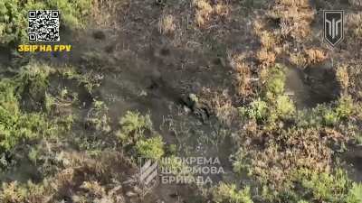 NSFW: Ukrainian 3rd Assault Brigade's UAV unit hit several Russian soldiers and infantry groups with FPV strike drones and corrected artillery/mortar fire on enemy positions. Kharkiv region, September 2024.