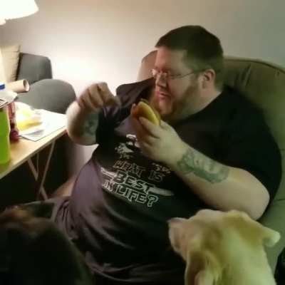 Cat stealing taking a couple bites of a burger