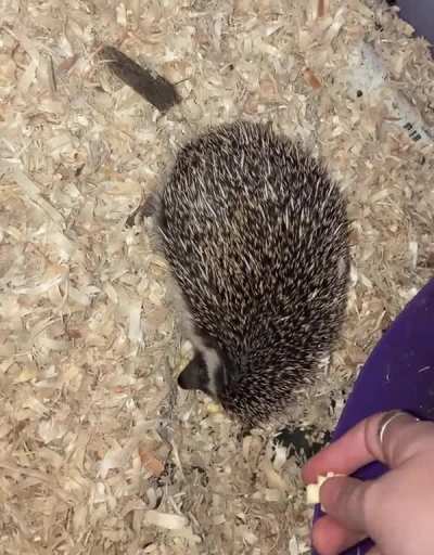 Otis kisses &eth;&yen;&deg;&eth;&brvbar;