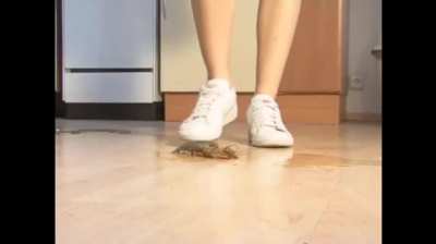 Martina Sneaker Crushing