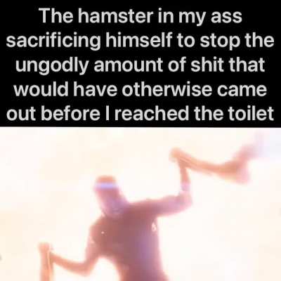 Tous les hamsters meurent horriblement. Certains meurent aussi h&eacute;ro&iuml;quement.