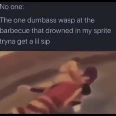 rip lil man