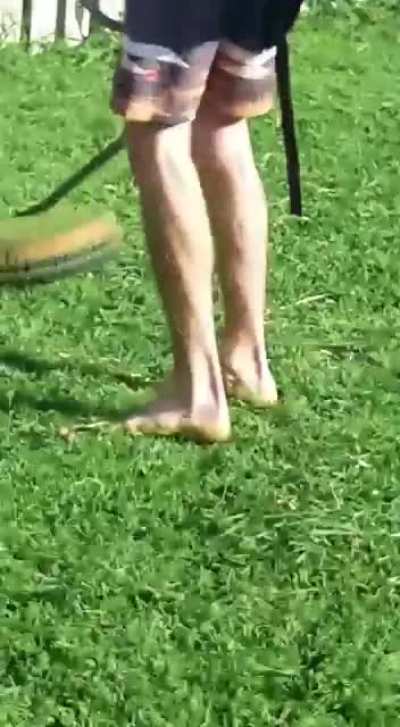 Blursed_grass cutting