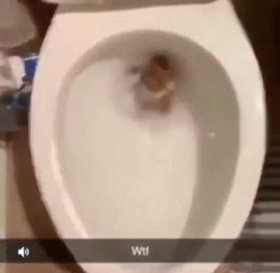 he's fucking dead