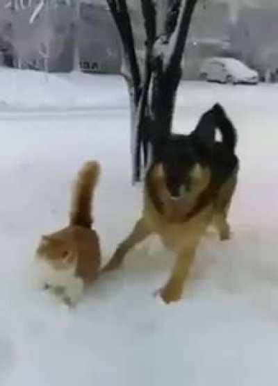 Having fun in the snow