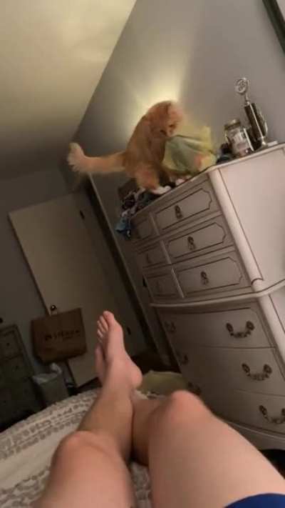 He&rsquo;s constantly removing stuff from on top of the dresser