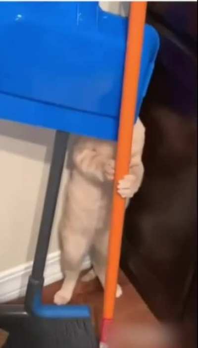 Maybe maybe maybe