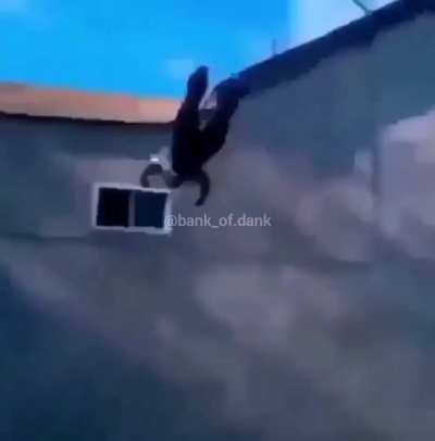 🎩