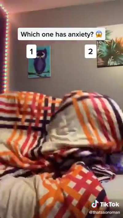 obviously 2