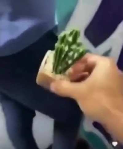 🌵