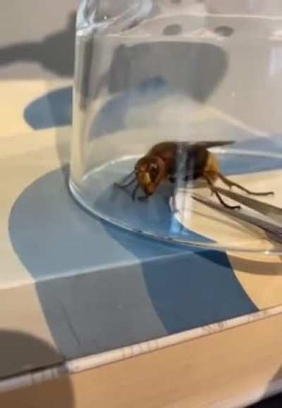 Hey lil fella