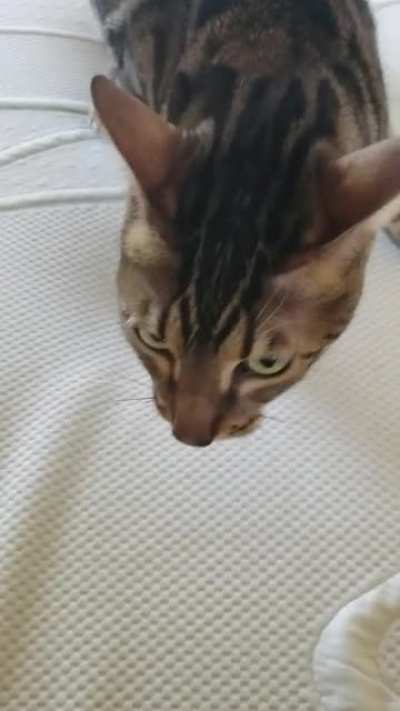 He hates Mondays too.