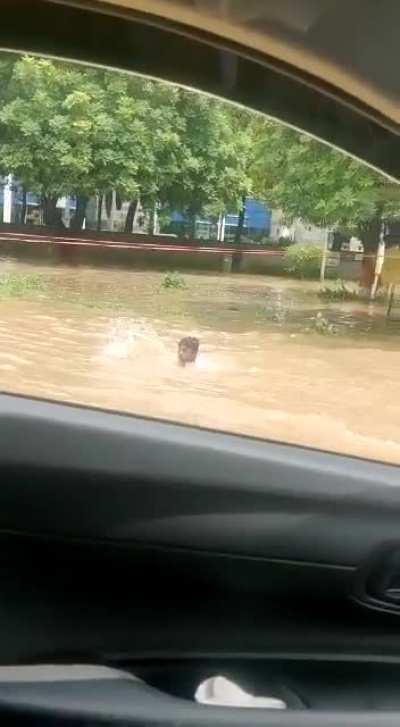 TITLE is underwater