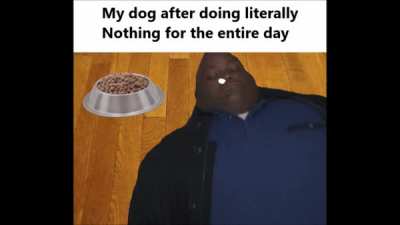 Lazy Dog