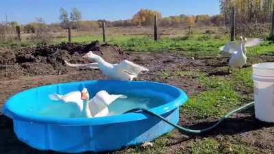Bath time.