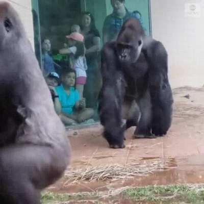 That’s pretty much what everyone looks like when trying to avoid the rain!