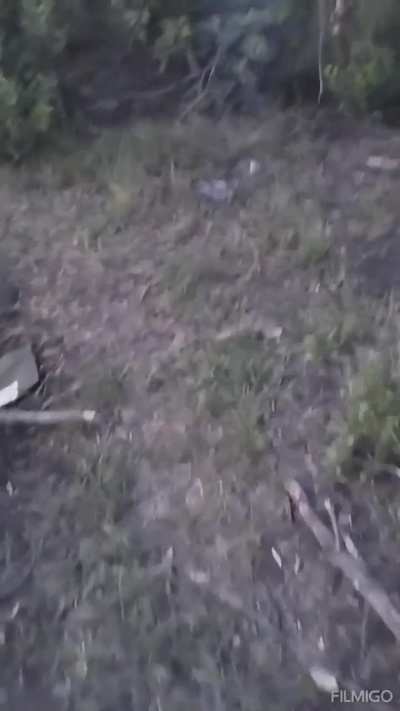 RU POV "Center" Group fighters show bodies of KIA UAF personnel abandoned by their own in the forested areas near Grodovka.