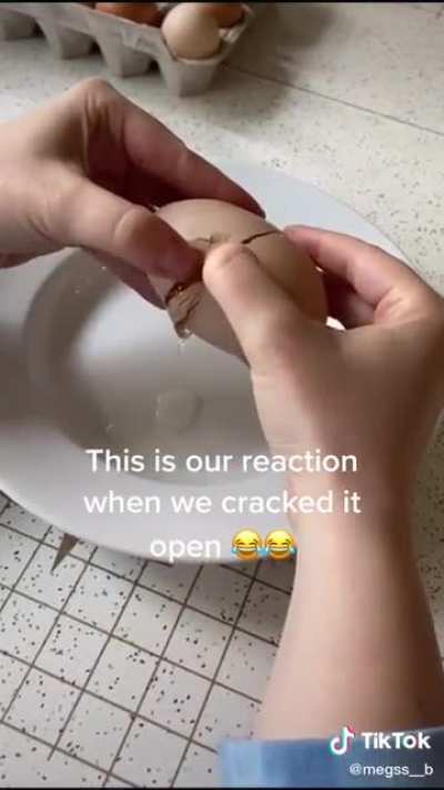 i screamed with them