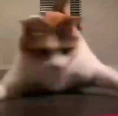 die
