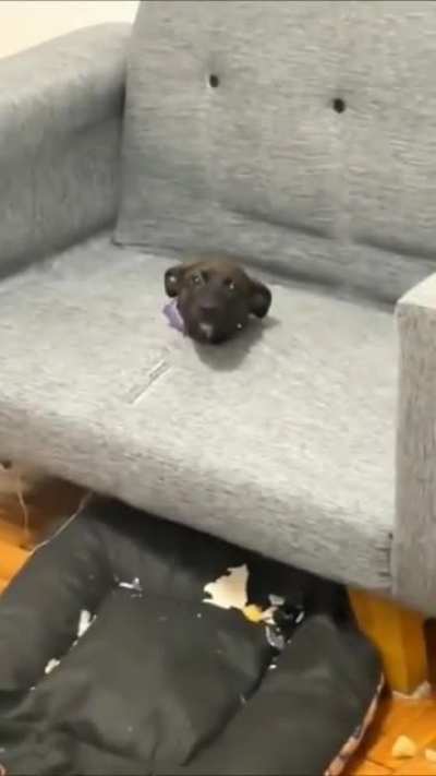 It wasn&rsquo;t him, I believe him