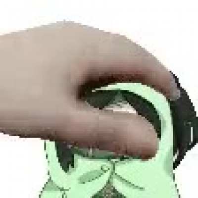 Pet the akali