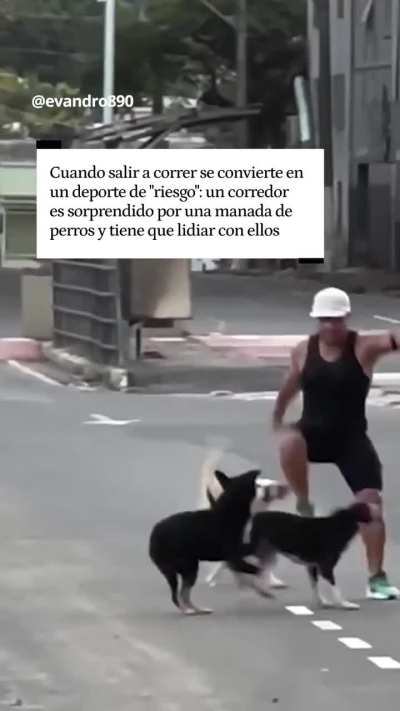 Que salio mal para que los perros ataquen en una ma&ntilde;ana a este corredor? xD